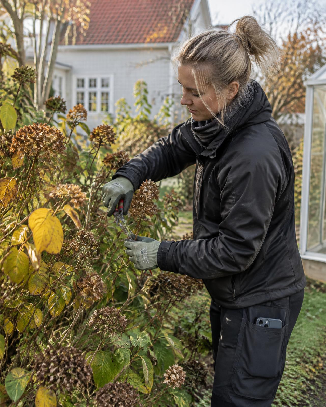Trädgårdsmästare beskär buskar en höstmorgon, mobilen i fickan
